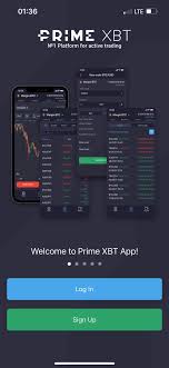Exploring Trading Opportunities with PrimeXBT MT4